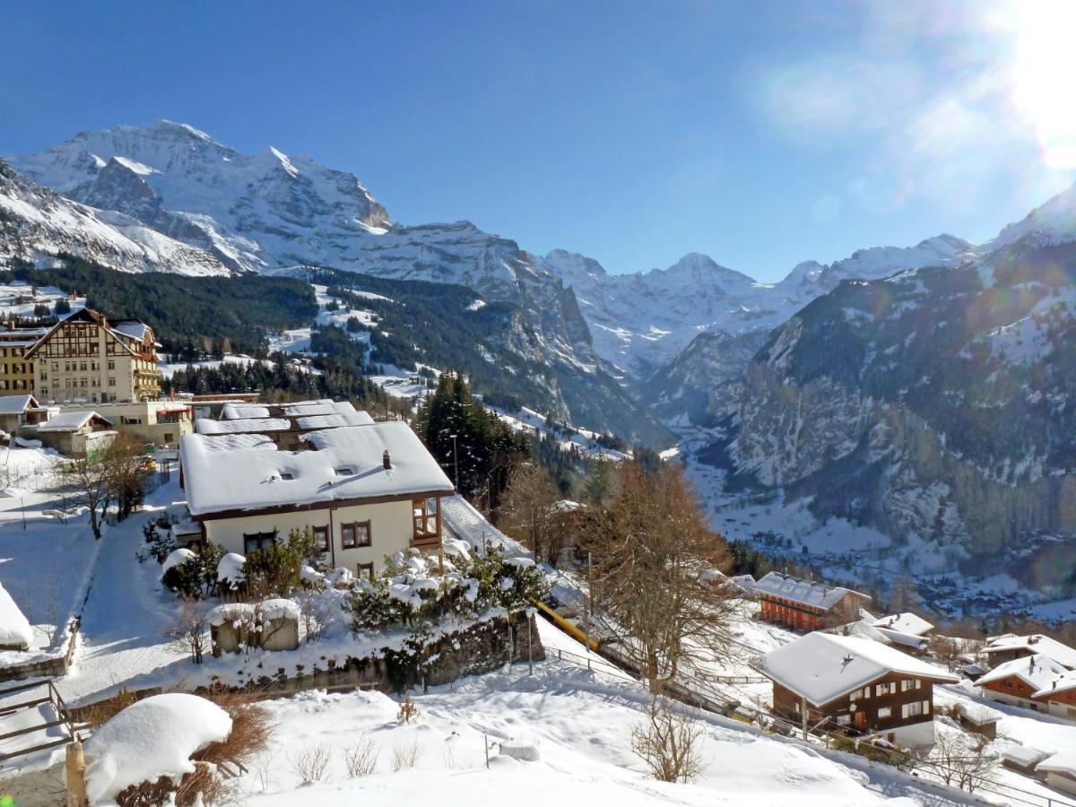Studio Krokus By Interhome Wengen Luaran gambar